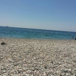 kent ormani doga cafe