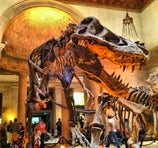 Natural History Museum of Los Angeles County - Los Angeles
