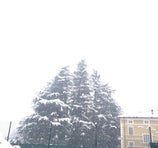 Marchirolo - Luino
