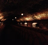 Casillero Del Diablo - Puente Alto