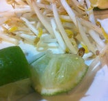 Thúy Tiên - Medicine Hat