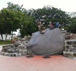 La Piedra Lisa - Colima