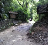 Sabas Nieves - Caracas