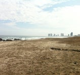 Playa Brava - Iquique