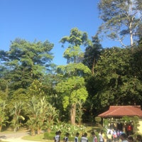 Frim -forest Research Institute Of Malaysia