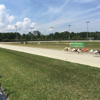 Daytona beach kennel club blackjack
