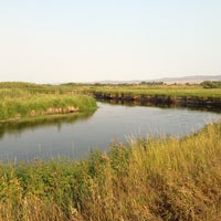 Gallatin River