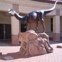 Arizona Museum Of Natural History