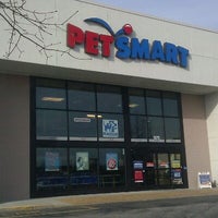 petsmart pet store in norfolk petsmart pet store in norfolk