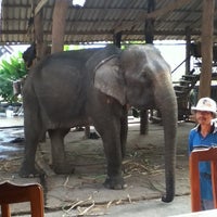 Thom's Pai Elephant Camp