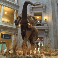 Photo taken at National Museum of Natural History by Matt M. on 5/15/2013