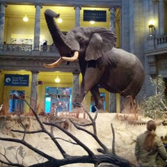 Photo taken at National Museum of Natural History by Andrew M. on 2/16/2013