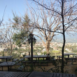 Cinartepe Cafe