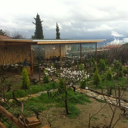 Dağmaran Kahvaltı Evi