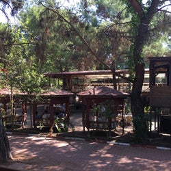 Alya Gözleme ve Kahvaltı