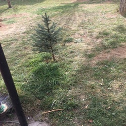Cumhuriyet Üniversitesi Hastanesi Bahçe Kantin