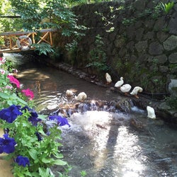 Bizimev restorant&pansiyon