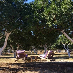Ecofarm Bodrum