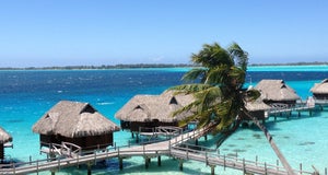 Foto Sofitel Bora Bora Motu Private Island, Bor-bor