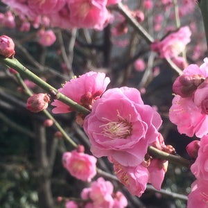 �?�?��??�?館