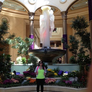 Photo of Wynn Resorts