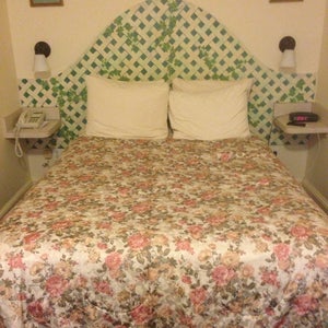 gay guest house montreal caio amaral gay