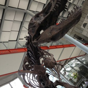 Photo of California Academy of Sciences