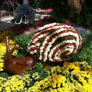 Photo of Bellagio