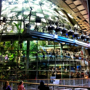 Photo of California Academy of Sciences