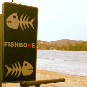Fishbone Café