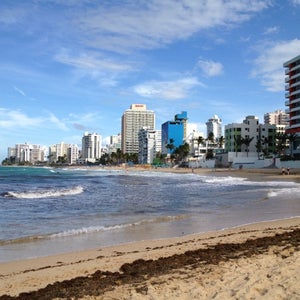 shemale lois griffin from Truman condado beach gay