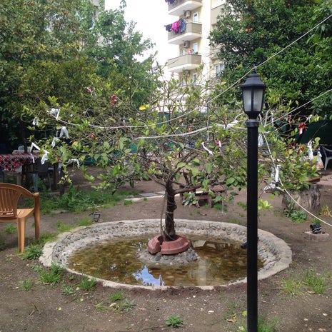 Küçük Ev Kafe