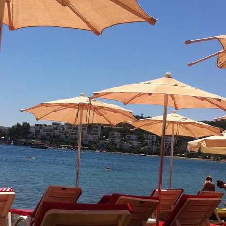 Shadow Beach & Restaurant