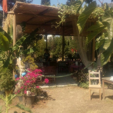 Tenel Köy Kahvaltısı