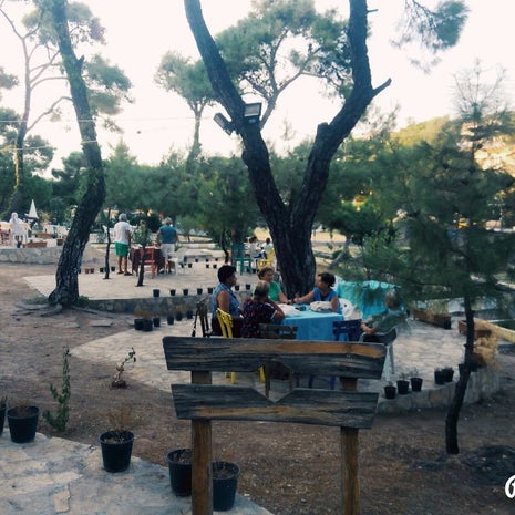 ayvalik zeytindali kir bahcesi