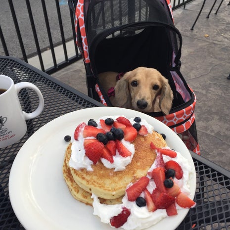 Penny Ann's Cafe