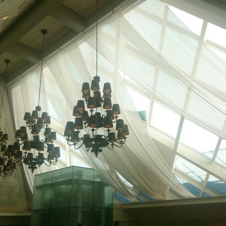 アトリウム The Atrium