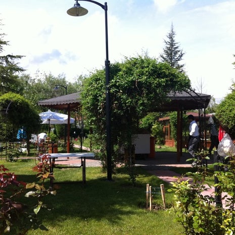 Söğütönü Alabalık