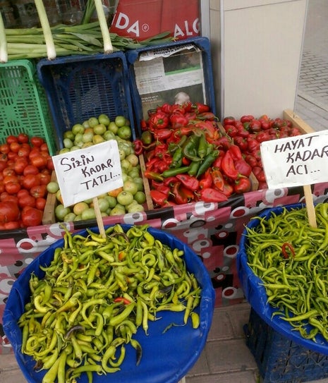 sena gıda