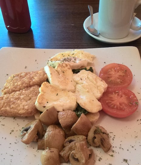 The Black and White Cat Cafe