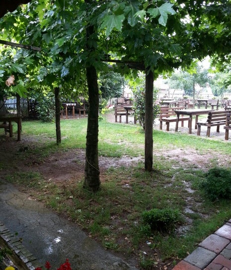 Yonca Sofrası