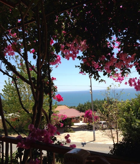 Gönlübol Köy Kahvaltısı