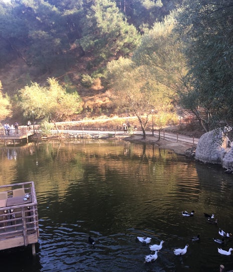 Göl-Et Cafe & Restaurant