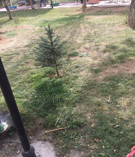 Cumhuriyet Üniversitesi Hastanesi Bahçe Kantin