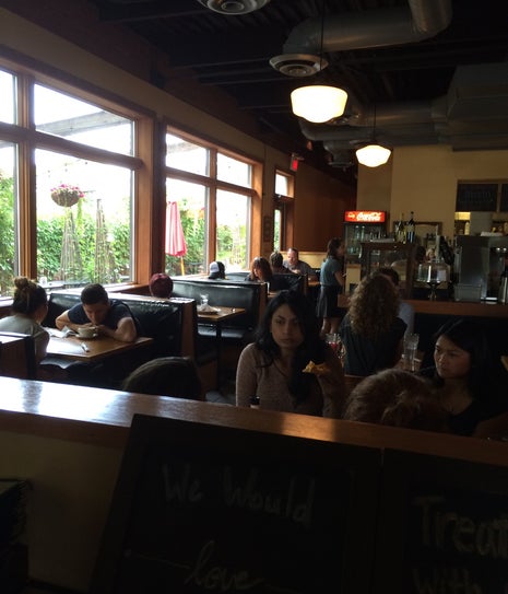 Stella's Café and Bakery