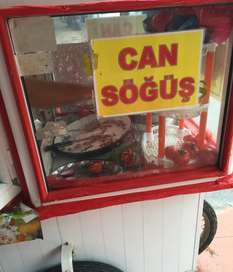 Can sogus