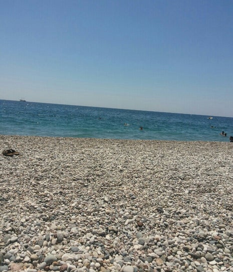 kent ormani doga cafe