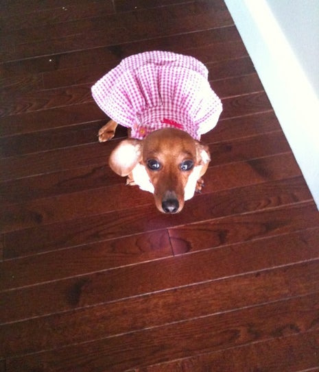 Chickies Luncheonette