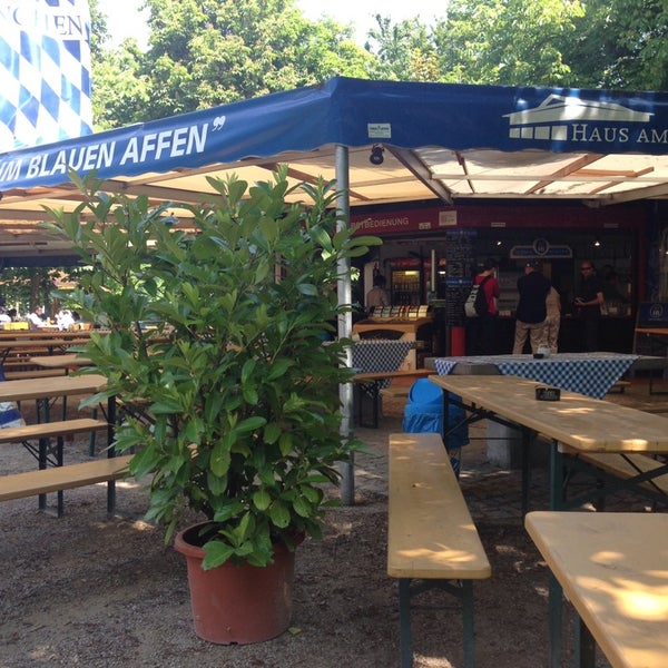 Blauer Affe Bonn Blauer Affe Bonn