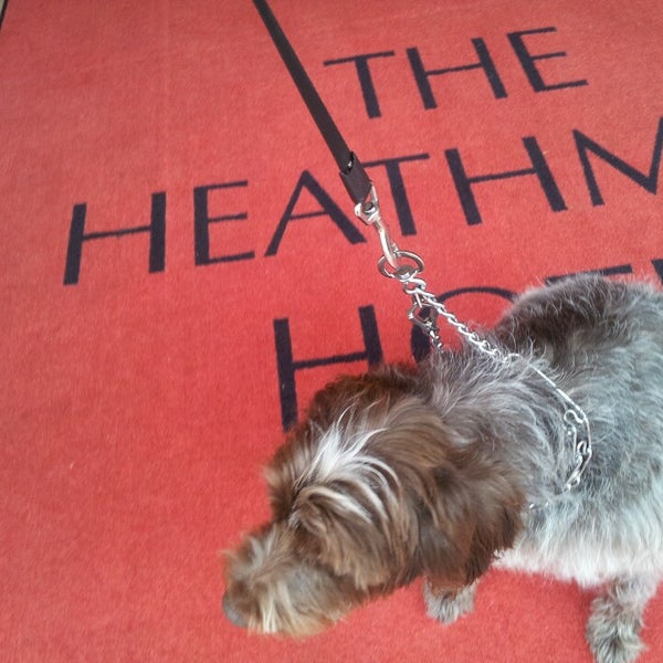 Trellis Restaurant Kirkland, WA